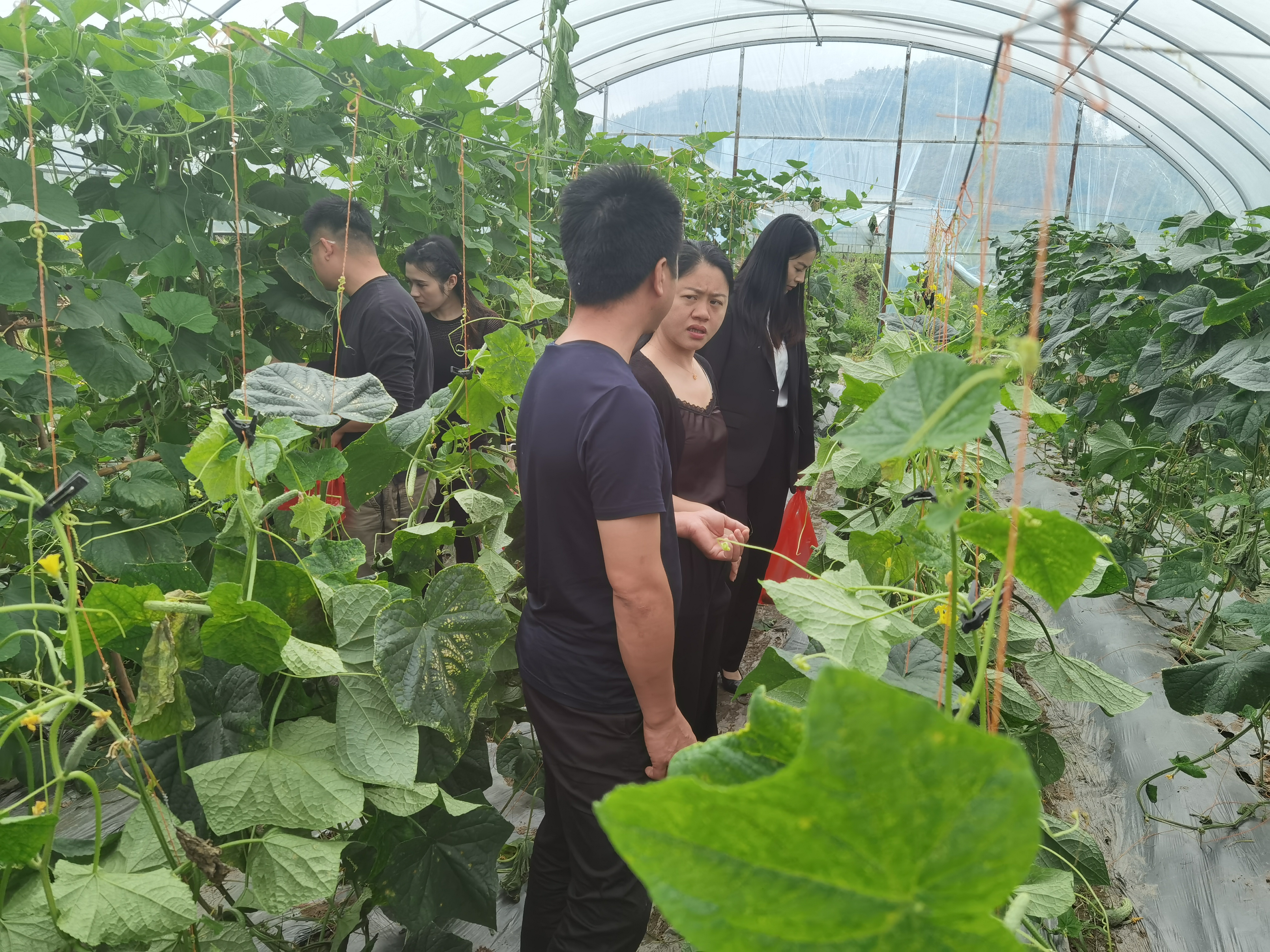 1717750846101081.jpg 2a4d9b86a41083a86e6b2335d784db9.jpg